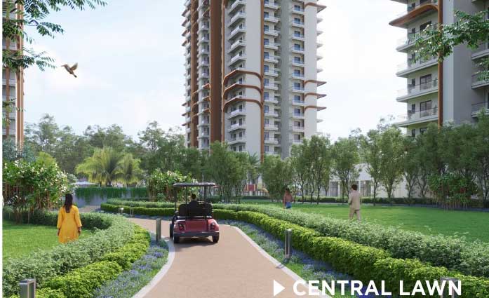 Central-Lawn